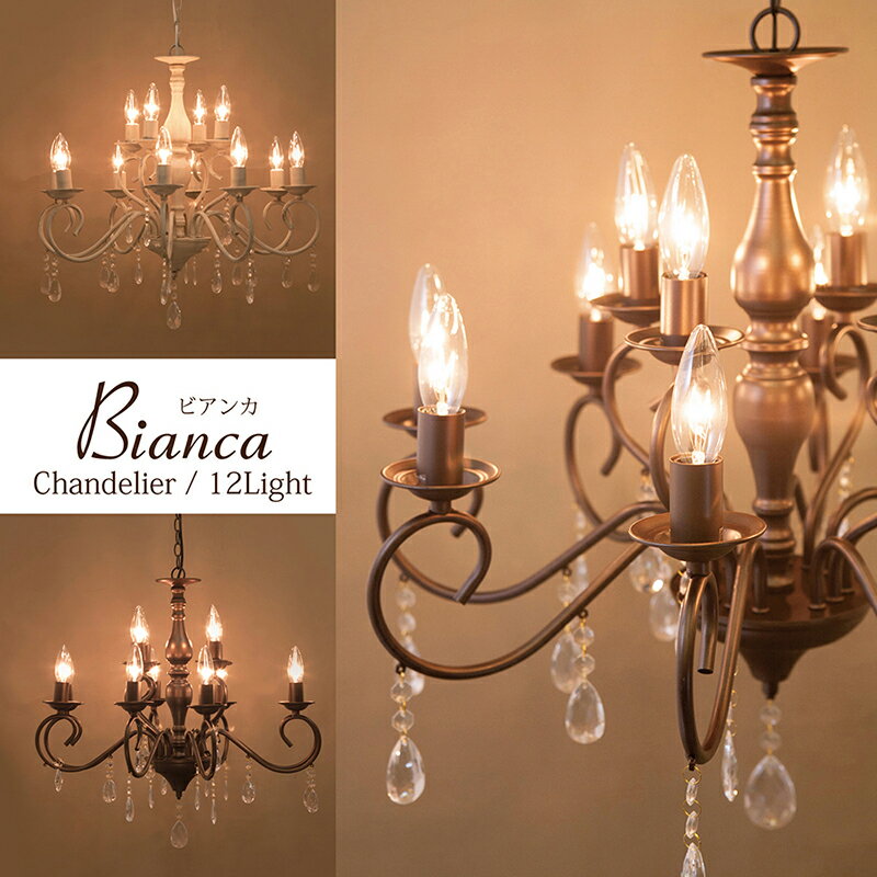 ̵ۥǥꥢ Bianca (ӥ)12ۥ쥤 ֥饦 LEDŵб  ե  󥰥饤 ...