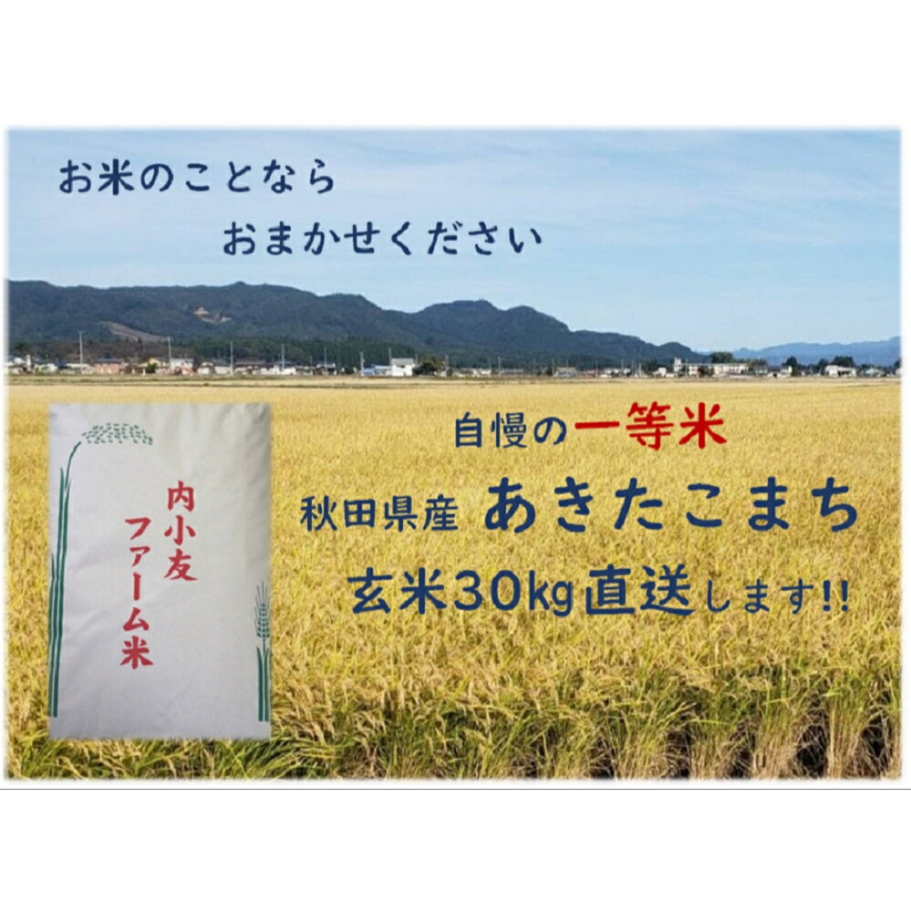 (送料無料）秋田県産 