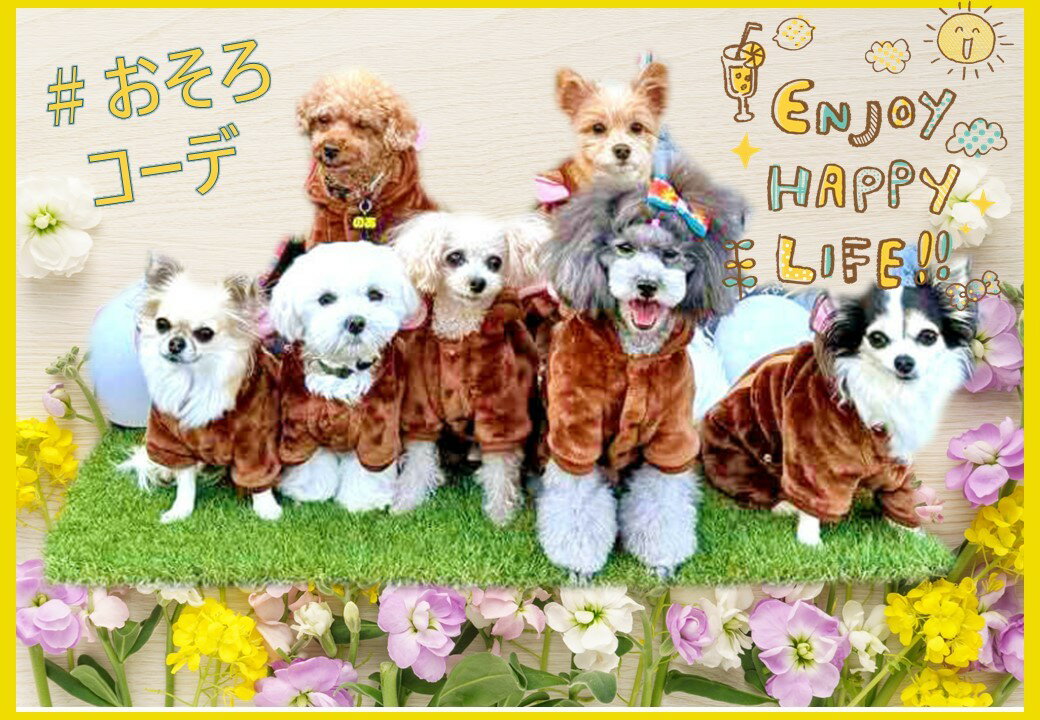 【在庫処分セール品】ペット犬 服 秋冬服 柔ら...の紹介画像2