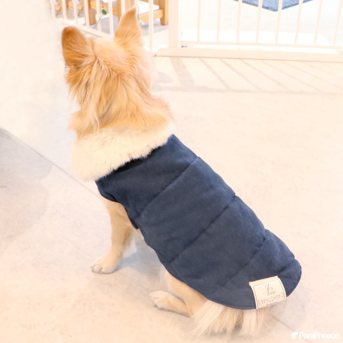 �ڥ��ꥢ��󥹥�����۸� ���� ������ ������ �� ���襤�� �İ��� ������� ��곰���ե����դ� ���ä��������� 2��5�� [�ݥ�ݥ꡼��]�����ʡ����Բ�