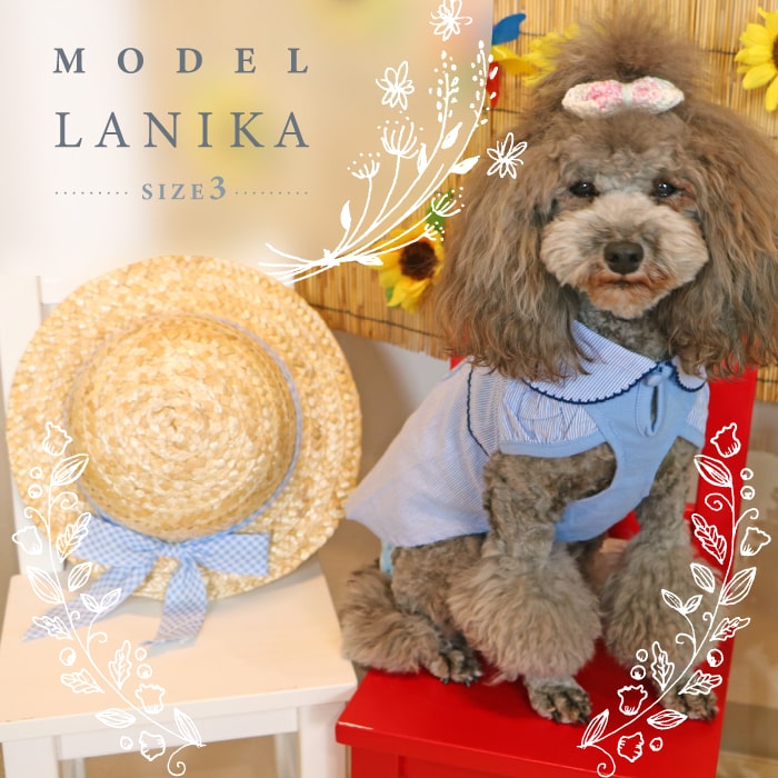 �ڶѰ쥻����۸� �� �������� ���λ� �ڥå��� ����ߥ����� ��ܥ� ���襤�� �ɥå������� �ڥåȥ����� ������ ���ԡ��� �ڥå��ѥ������� �졼���ȥ�ߥ� ���դ� ���ޡ����� 1��4�� �ݥ�ݥ꡼�������ʸ��Բ�