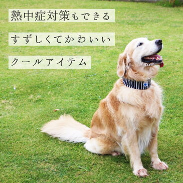 犬 夏 熱中症対策 クールバンダナ クールネック クールバンド　小型犬 中型犬 大型犬 涼しい かわいい ひんやりソフトジェル　クールバンダナ 冷えひえボーダー M [ポンポリース]