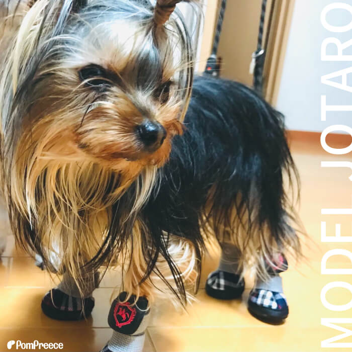 【特別セール】 ドッグシューズ 犬用シューズ 犬用ブーツ 犬の靴 犬用靴 マジックテープ 滑り止め お散歩 肉球保護 怪我予防 ケガ防止 火傷予防 おしゃれ 可愛い レインシューズ ルンルンタータン 2〜5号 [ポンポリース] [返品交換不可] pomp2007-10009989 創業44年ポンポリース楽天市場店 サンプル画像2