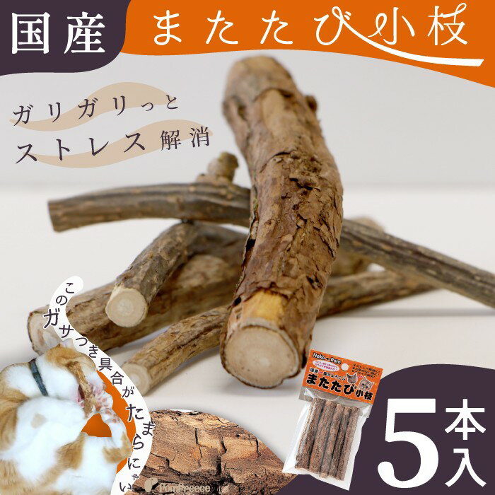 ڥȥ꡼ǥݥ5ܳǭ ڥå  ǭ餷 ޥӤ  񻺤ޤӹ ޤӤڡʥ쥮顼5...