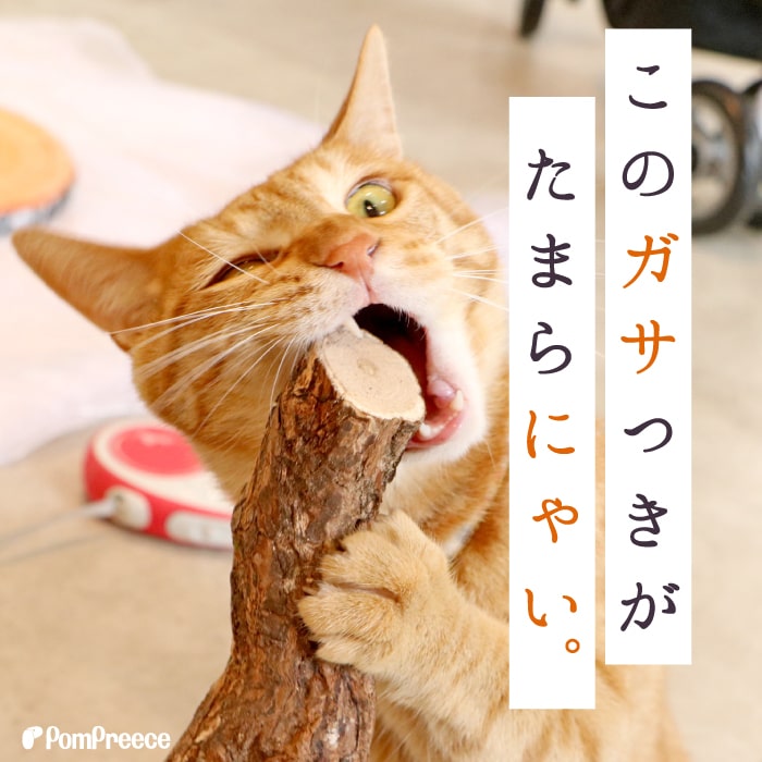 猫 ペット おもちゃ 猫じゃらし またたび マタタビの木 原木 国産またたび国産 ニャンともBIG またたびの木（2本入）（4912） [ネコpom] [ポンポリース] 3