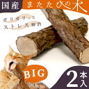 スマック またたび 虫えい果 純末 2.5g またたび 猫用 キャット ペット デイリー