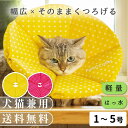 【平日14時までの注文で即発送】犬 猫 ペット用 エリザベスカラー 傷なめ防止 噛み防止 耳掻き防止 術後ウエア やわらかい ソフト 手術 介護 軽い 軽量 通気性ソフト ロングブリリアント エリザベスカラー ルンルン水玉 1～5号 ポンポリース