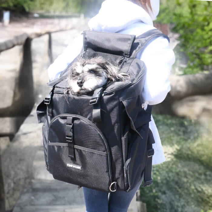 �ڥ���ȥ꡼�ǥݥ����5�ܳ���۸� ǭ ��ưʪ ����꡼���å� ����꡼�Хå� ���å� �ޤ���� ��å��� �̵������� ���� ���� �̱� �ɺ� �Ѳٽ�12kg �ӥå��ե��åȥ���꡼ [�ݥ�ݥ꡼��]���֥�å��Τߺ߸˸¤�