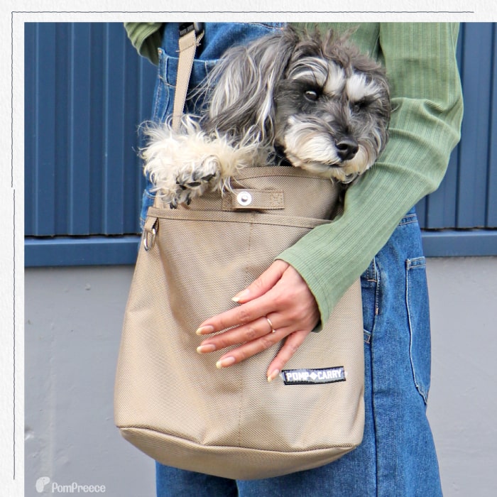 創業44年ポンポリース楽天市場店の【在庫処分セール品】 犬 ペット用 キャリーバッグ 抱っこ 散歩 通院 旅行 抱っこバッグ 軽い 犬 猫 小動物用 カンガルーバッグ シンプルフリー（カラー：ベージュのみ） [ポンポリース]※返品交換不可｜アングル3