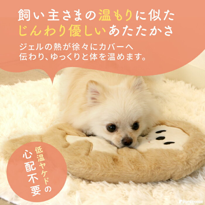 【エントリーでポイント5倍確定】レンチン♪で簡...の紹介画像2