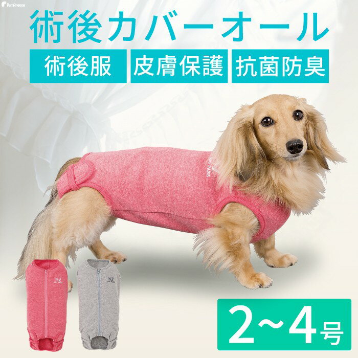 【平日14時までの注文で即発送】犬 猫 小動物 ペット用 エリザベスカラー 傷なめ防止 噛み防止 耳掻き防止 爪切り 傷口 傷 去勢 避妊 保護 ヘルスケア 術後ウエア 犬用 術後服 小型犬 ロングサイズ用 術後カバーオール（術後服） 2～4号 [ポンポリース]