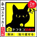 【エントリーでポイント5倍確定】猫 ドライブレコーダー ステッカー 耐水 張り直しOK ドラレコ 煽り運転 事故防止 安全運転 録画 防犯 セキュリティ対策 ね...