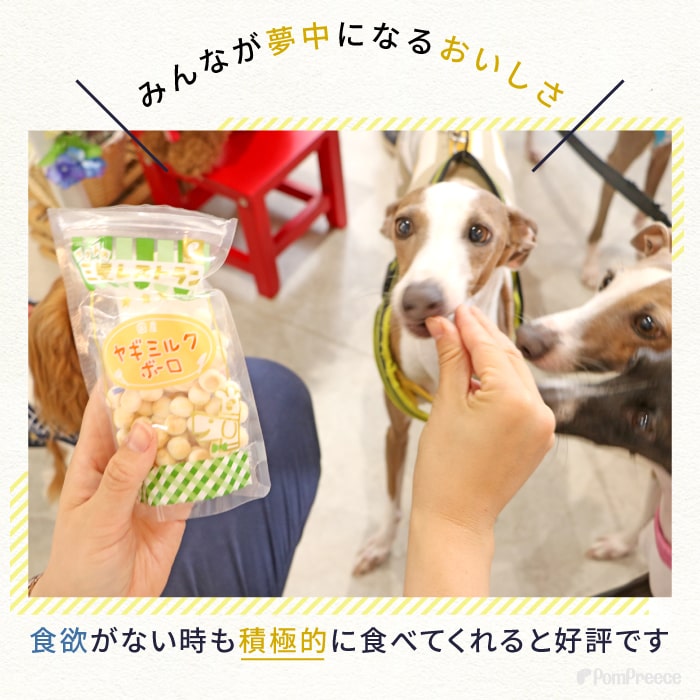 犬 おやつ ヤギミルクボーロ ボーロ ペット ドッグフード ドックフード 犬用おやつ 犬用 自然派おやつヤギミルクボーロ 100g [ポンポリース] pomp2007-10003568 創業44年ポンポリース楽天市場店 サンプル画像2