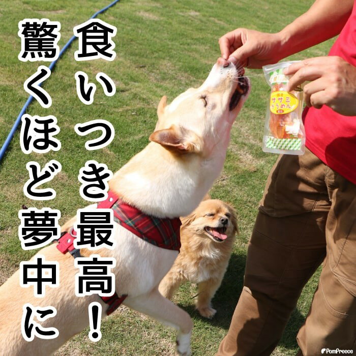 国産 無添加 犬用 おやつ オヤツ ドッグフー...の紹介画像2