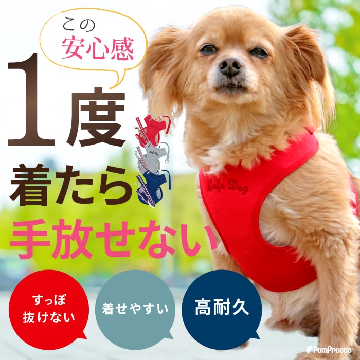 �ڥ���ȥ꡼�ǥݥ����5�ܳ���ۥϡ��ͥ� �� ȴ���ʤ��¿� ������ �淿�� ��� �٥�� �� �꡼�� ���� ƹ�� �� ���襤�� �¿��������ѥ����ѡ��ϡ��ͥ���ƹ�ء�&�꡼�ɥ��å� �ȥꥳ������ͥ� 3S��6�� �ݥ�ݥ꡼��