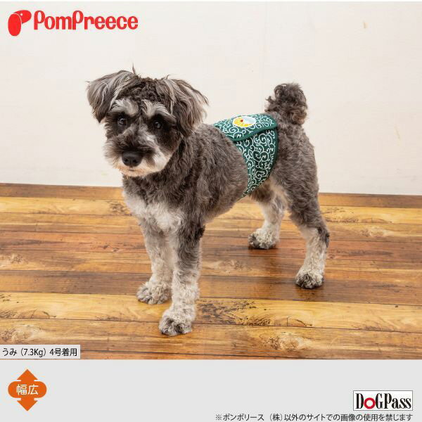 �ڥ���ȥ꡼�ǥݥ����5�ܳ���۾������ѥޥʡ��٥�� �����ٻλ� 1��3�� [�ݥ�ݥ꡼��]