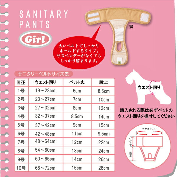 【平日14時までの注文で即発送】中大型犬用 ベルト型サニタリーパンツ エアーメッシュ 6号 [ポンポリース] 3