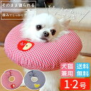 【■リセール品■】【エントリーでポイント5倍確定】※返品交換不可 犬 猫 ペット用 エリザベスカラー 傷なめ防止 傷口 傷 去勢 術後 介護 軽い 軽量 通気性...