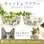 【エントリーでポイント5倍確定】猫 食器 陶器 犬用 犬用品 食事 皿 いぬ ねこ フードボウル 小型犬 中..