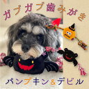 犬 おもちゃ ロープ オモチャ ペット トイ 玩具 TOY 小型犬 かわいい おもしろ インスタ映え ハロウィンデンタルロープTOY パンプキン＆デビル 