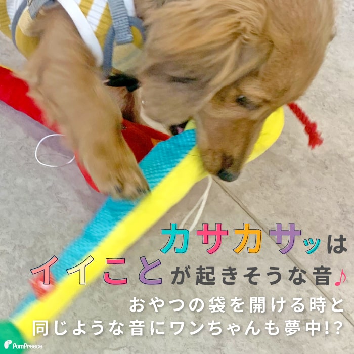 【平日14時までの注文で即発送】犬 猫 小動物 おもちゃ TOY ロープ ひも デンタル 歯磨き 噛む 丈夫 噛み癖 健康 安全 かわいい ヘビ 編むデンタルネットTOY Pee Pee カサカサスネーク [ポンポリース] 3