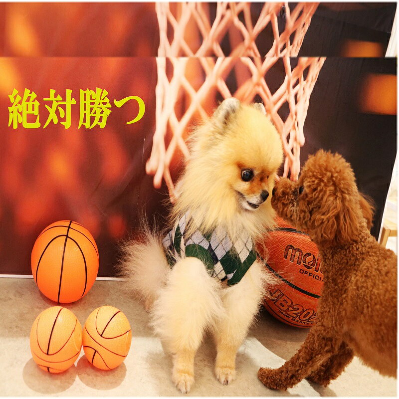 犬用 バスケ TOY おもちゃ ボール 小型犬 大型犬 ペット用品 音の出るおもちゃ ペットぬいぐるみおもちゃ 猫噛む 投げるおもちゃ ストレス発散 バスケットボール or ラグビーボール orサッカーボールを1個 pomp2007-10010683 創業44年ポンポリース楽天市場店 サンプル画像2
