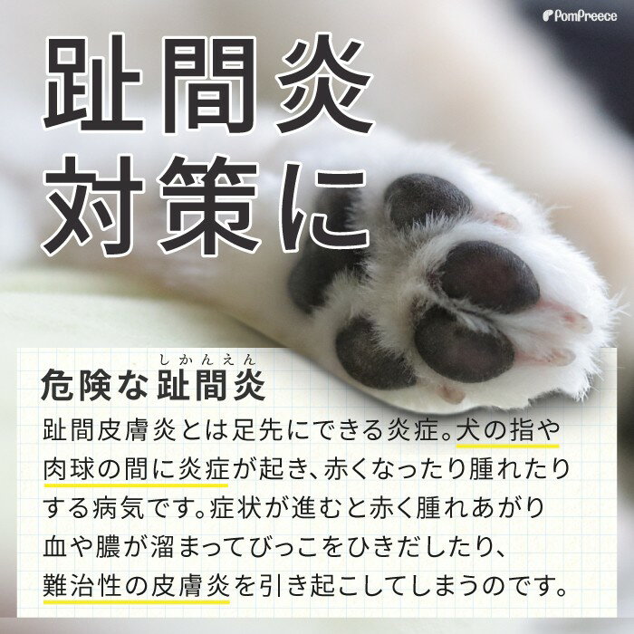 犬用ソックス 4個入り 犬 ソックス 靴下 ルームソックス 犬用 犬用靴下 犬の靴下 ...