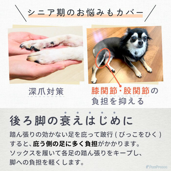 犬用ソックス 4個入り 犬 ソックス 靴下 ルームソックス 犬用 犬用靴下 犬の靴下 ...