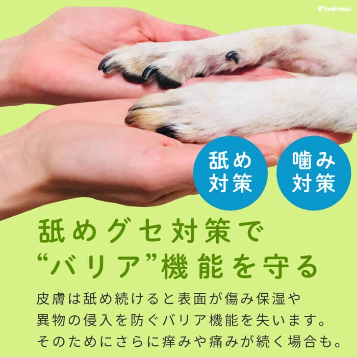 創業44年ポンポリース楽天市場店の犬用ソックス 4個入り 犬 ソックス 靴下 ルームソックス 犬用 犬用靴下 犬の靴下 滑り止め 室内 防寒 保護 怪我 怪我防止 安全 老犬 シニア犬 犬用ソックス ボーダーアニマル SS〜LLポンポリース｜アングル2