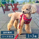 【平日14時までのご注文で即発送】 ハーネス 小型犬 中型犬 介護 ベルト 犬 リード 犬用 胴輪 犬 かわいい 安心 安全犬用スーパーハーネス（胴輪）&リードセット タータンチェック 1～3号 （9709）[ポンポリース]