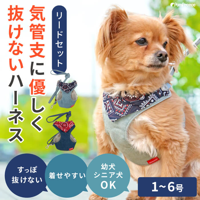 【楽天ロジ発送 365日楽天倉庫出荷】ハーネス 犬 抜けない 小型犬 中型犬 介護 ベルト 犬 リード 犬用 胴輪 犬 かわいい 安心 安全 国際特許 犬用スーパーハーネス（胴輪）&リードセット バンダナビンテージデニム 1～3号 ポンポリース