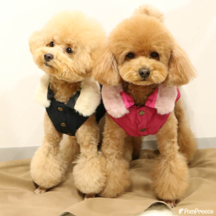 【クリアランスセール】犬 犬服 犬冬服 犬用品...の紹介画像2