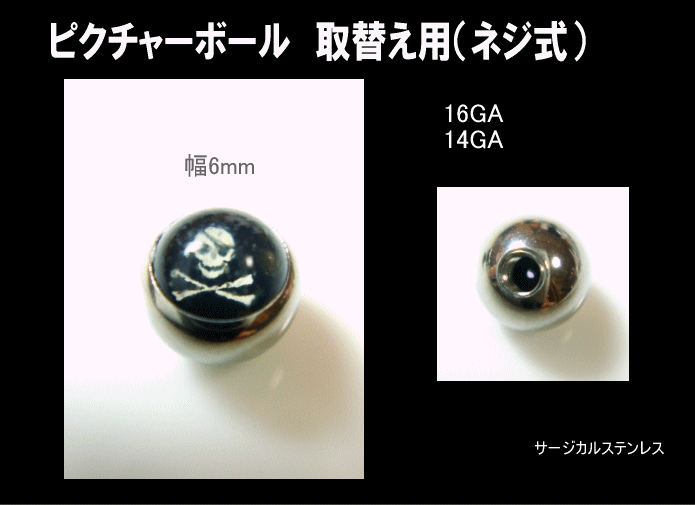 ピクチャーボールスカルパーツネジ式16GA/14GAの紹介画像2