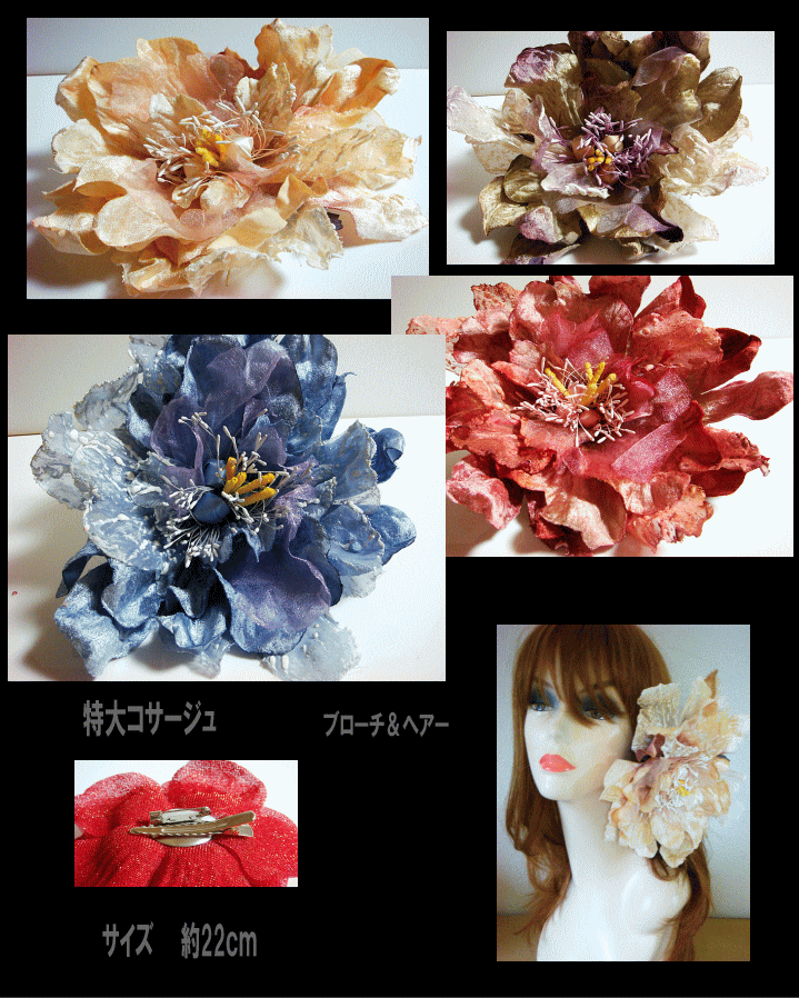 ���祳�������塡�ڥ᡼�����Բġ�