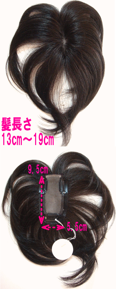 ヤングミセスも注目!白髪隠しに人気!人毛ウィッグ(混毛30%×70%)ノンパーマ(ソフトパーマ)方向き総手植え/部分かつら 日本製金具 ボリュームアップ/カバーピース ヘアピース L(ロング)タイプ【メール便可】人毛部分ウィッグ