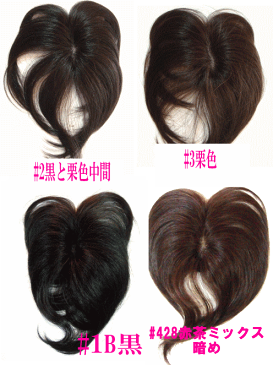 ヤングミセスも注目!白髪隠しに人気!人毛ウィッグ(混毛30%×70%)ノンパーマ(ソフトパーマ)方向き総手植え/部分かつら 日本製金具 ボリュームアップ/カバーピース ヘアピース L(ロング)タイプ【メール便可】人毛部分ウィッグ