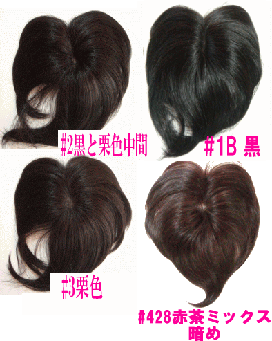 ヤングミセスも注目!白髪隠しに人気!人毛ウィッグ(混毛)ノンパーマ(ソフトパーマ)方向き 部分かつら ボリュームアップ/総手植え カバーピース ヘアピース L(ロング)【ワイド幅広タイプ】日本製金具 ボリュームタイプ【送料無料】人毛部分ウィッグ ヘアーピース