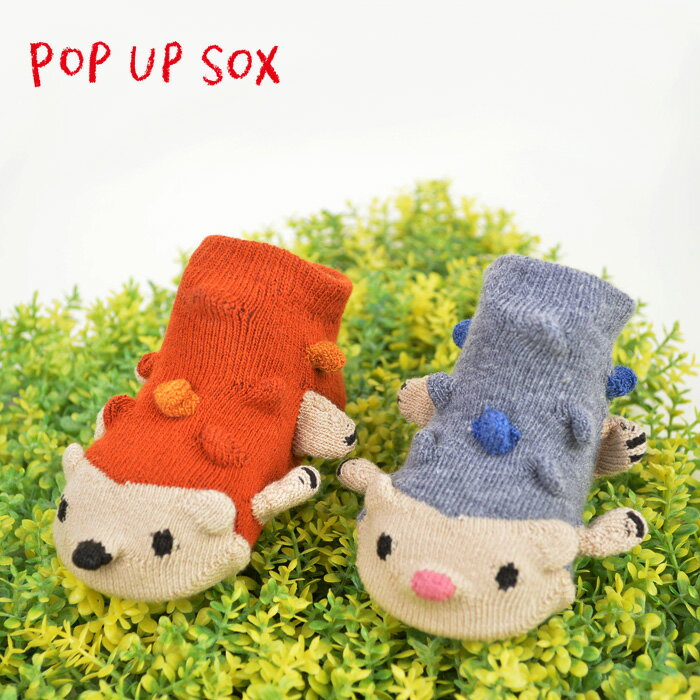 ポプキンズ POP UP SOX ポップアップソックス「はりねずみ」適応サイズ 9〜12cm 出産祝い POMPKINS 赤ちゃん ベビー靴下 贈り物