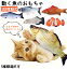 【送料無料】猫おもちゃ 一人遊び 魚 動く 電動魚 猫用 ぬいぐるみ 動く 魚おもちゃ USB充電式 フィッシュ キャットトイ ぴちぴちとはねる 運動不足 ストレス解消 爪磨き 噛むおもちゃ ペットグッズ そうぎょ クマノミ ふな シルバーアロワナ ひごい 送料無料