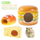 【10%クーポン】かわいい パン型 ハムスター ハウス 陶器 チーズ型 ハンバーガー型 小動物 熱中症対策 暑さ対策 ゲージ 小屋 冷たい 夏 洗える 陶器 清潔 ずっと使える オールシーズン 長持ち 噛めない リス モモンガ ハムスター デグー チンチラ ペット お家 寝床 ひんやり