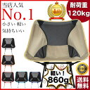 【楽天1位 累計80000脚突破 180日間保証】超軽量 フ...