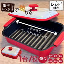 【まとめ買い10%OFFクーポン】電子レンジ調理器 焼き魚 焼く グリル 食洗機対応不可 目玉焼き 魚焼き器 電子レンジ ヒロコーポレーション 食洗器対応不可 ...