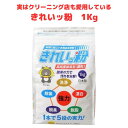 【まとめ買い10%OFFクーポン】きれいっ粉 1kg 過炭酸ナトリウム 酸素系 洗浄剤 洗剤 きれいっ粉 日本製 シミ抜き 油汚れ 洗濯洗剤 除菌 消臭 きれいっこ もっともっと 排水口 カビ 換気扇 靴 qvc お風呂 コストコ ドラム式 酸素系漂白剤 日本製 漂白剤 床 泥汚れ 血液 粉末