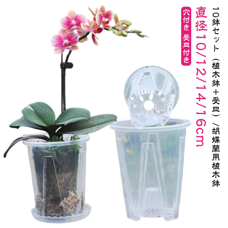 10鉢セット プラスチック 透明 胡蝶蘭 植木鉢 穴付き 胡蝶蘭鉢 プランター 洋蘭鉢 穴付き 胡蝶蘭の植え替え セット 植木鉢 オーキッドポット 屋内 屋外 鉢 観葉植物 多肉植物 植え替え 育苗ポット 10鉢セット