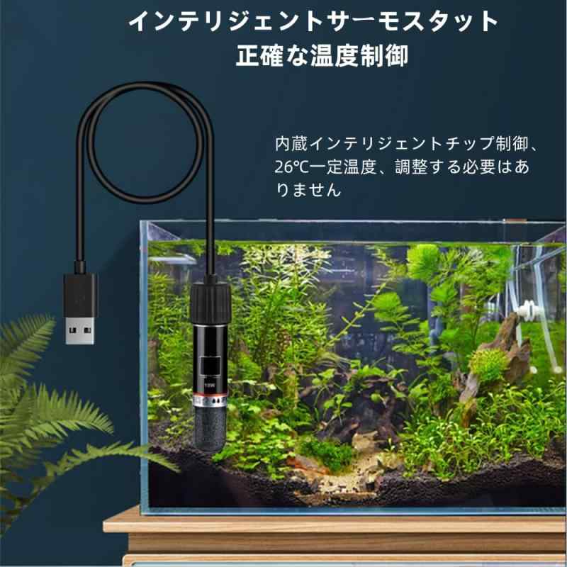 ���� �ҡ����� Ǯ�ӵ� �ҡ����� 10W ���� ��Ǯ�� ���忩�� Ǯ�ӵ�/���/�����б� ����侮�������Ŭ��