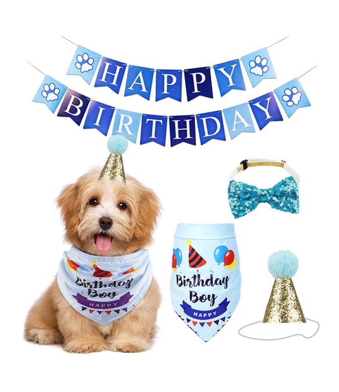 【愛犬 猫のお誕生日にペット】 PetGround 用誕生日セット 帽子 バンダナ 蝶ネクタイ 飾り 4点セット バースデー 犬おもちゃ