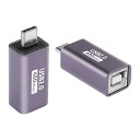 SinLoon USB C-USB Bアダプタ TypeC-MIDI変換コネクター タイプCオス-USB Bメス・プリンタ・アダプタ 電子ピアノDAC、シンセサイザー、DJコントローラー、キーボード、プリンター用 2個(2)