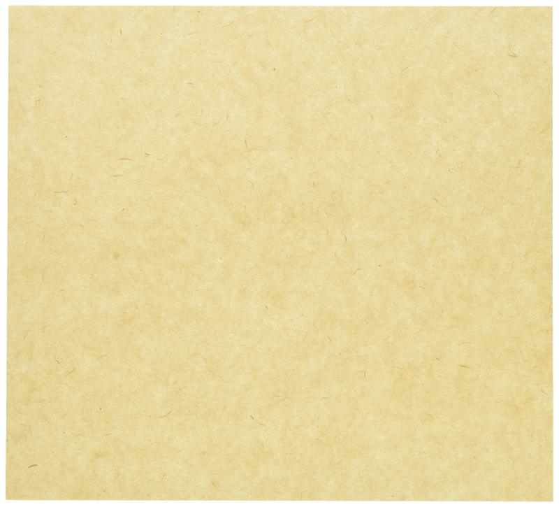 ナガオ ランチョンマット 未晒し 100枚セット