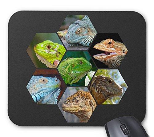 トカゲの仲間のマウスパッド：フォトパッド*（世界のトカゲシリーズ）