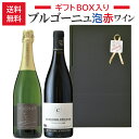贈答用/ブルゴーニュワイン2本セット/ギフトBOX入り/送料無料/フランス スパークリングワイン 赤ワイン/ミディアムボディ 辛口/750ml×2本/贈答 ギフ...